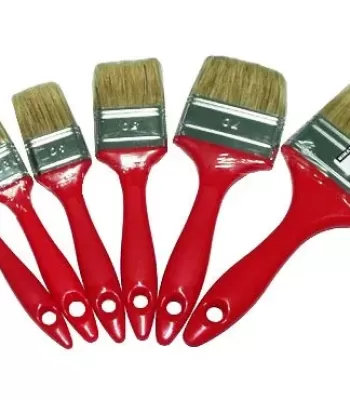 Pensoane 70 (12buc/bax)