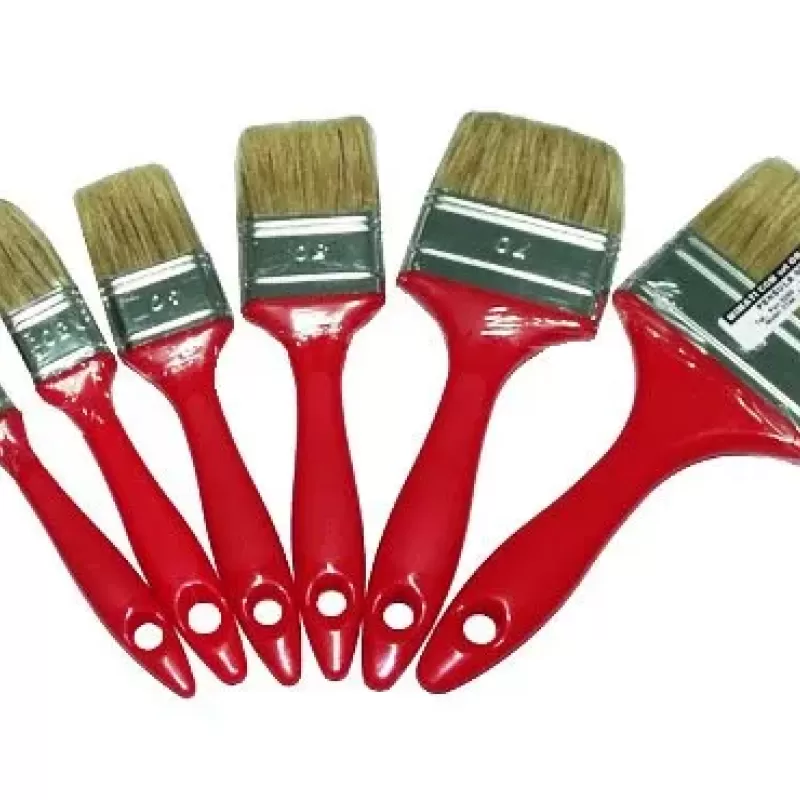 Pensoane 70 (12buc/bax)